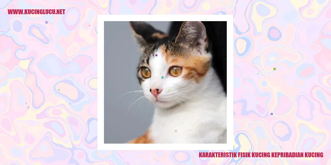 Karakteristik Fisik Kucing kepribadian kucing