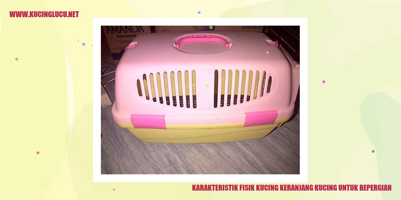 gambar kucing yang menggemaskan