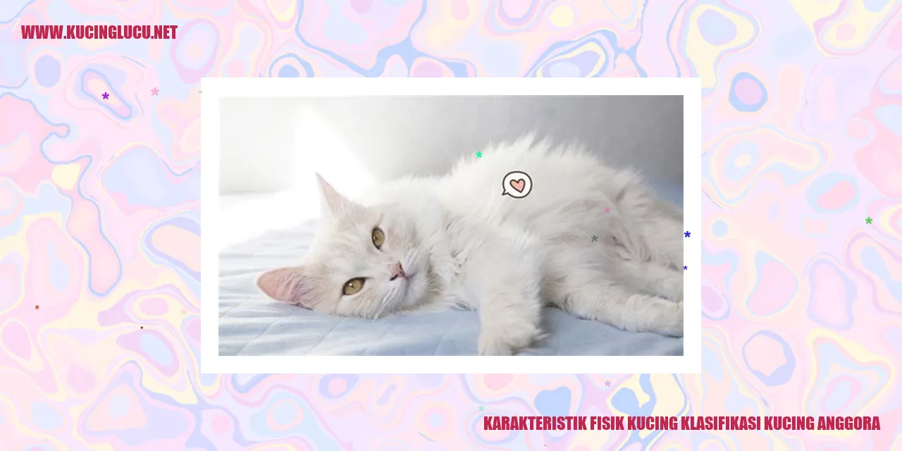 Kucing Anggora