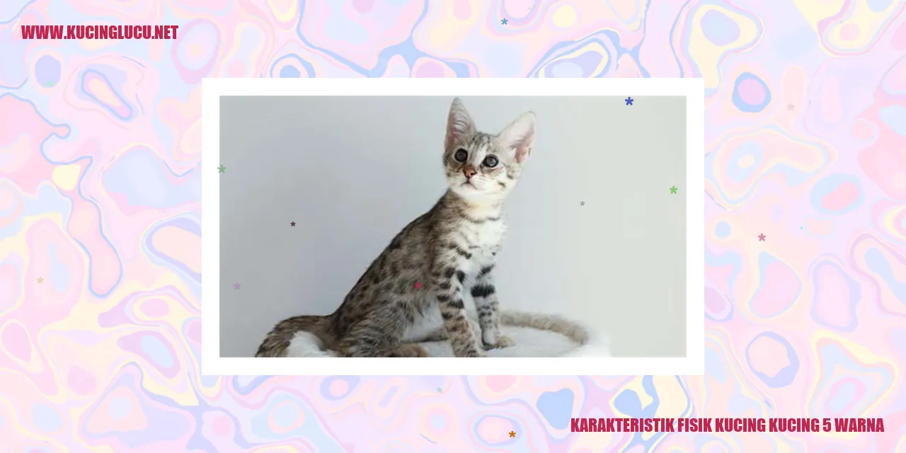 Karakteristik Fisik Kucing 5 Warna