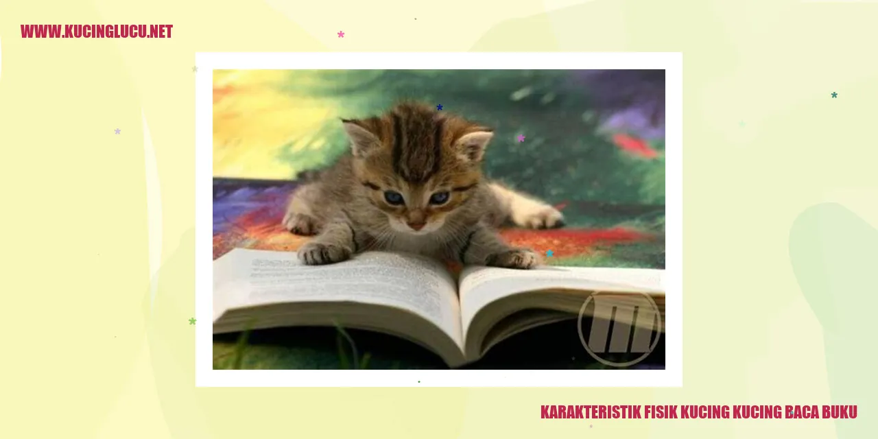 Kucing Menikmati Membaca Buku