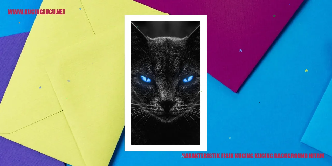 Kucing berbulu hitam