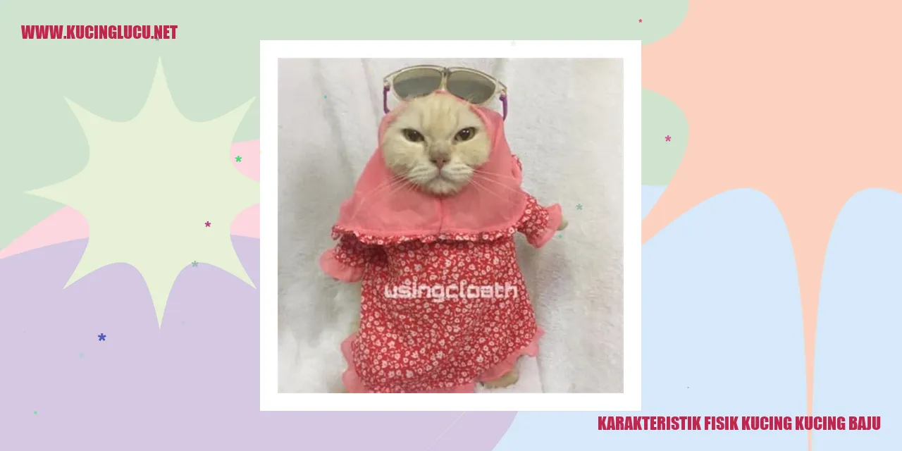 Karakteristik Fisik Kucing kucing baju