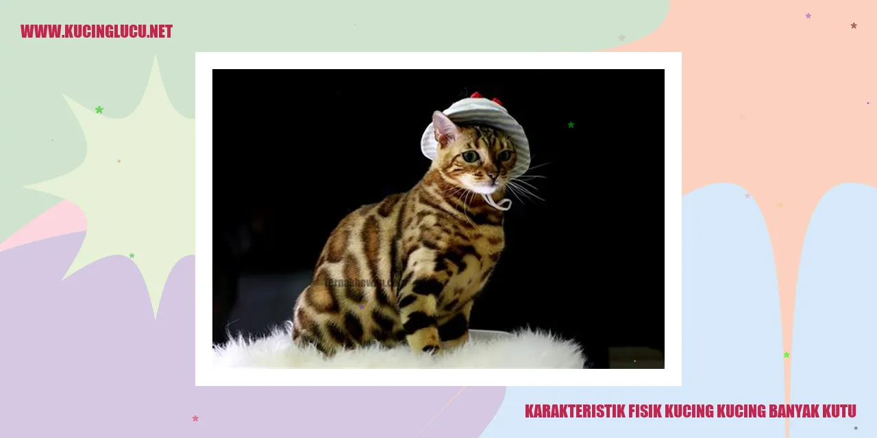 Karakteristik Fisik Kucing yang Terjangkit Oleh Banyak Kutu
