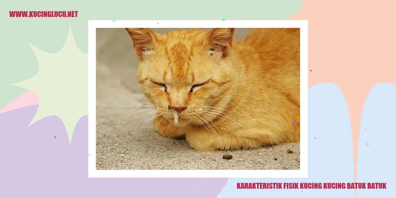 Karakteristik Fisik Kucing Kucing Batuk-Batuk
