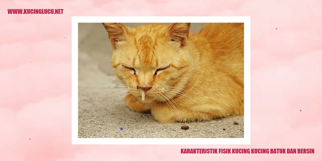 Kucing batuk dan bersin