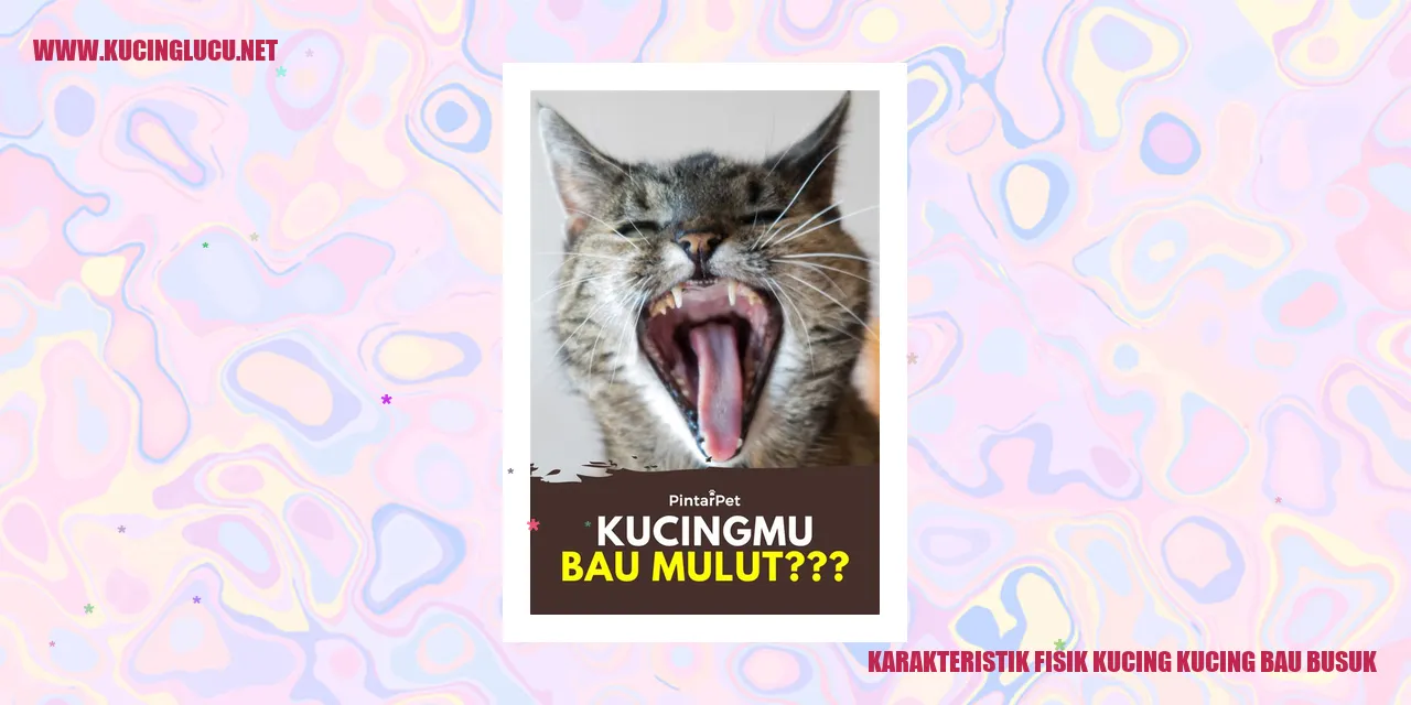Karakteristik Fisik Kucing Kucing Bau Busuk