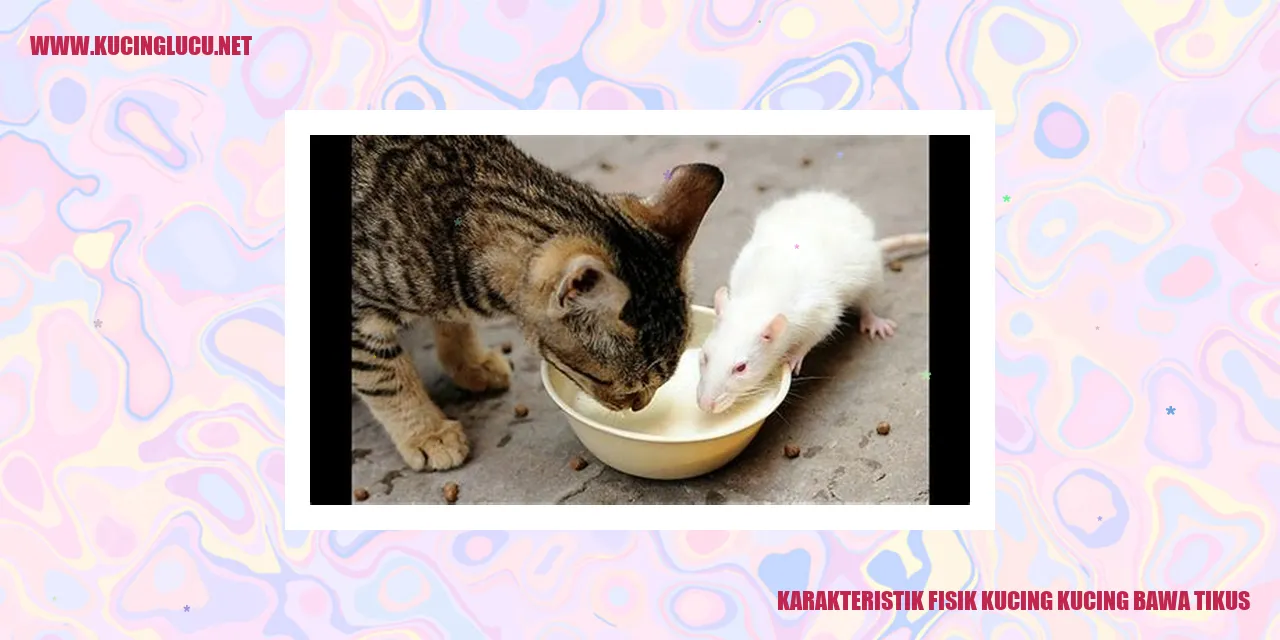 Gambar Kucing yang Membawa Tikus