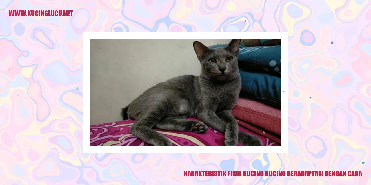 Karakteristik Fisik Kucing