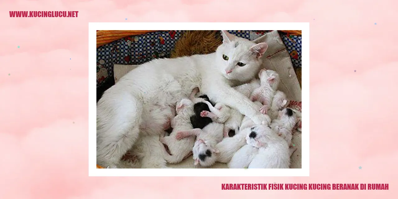 Karakteristik Fisik Kucing