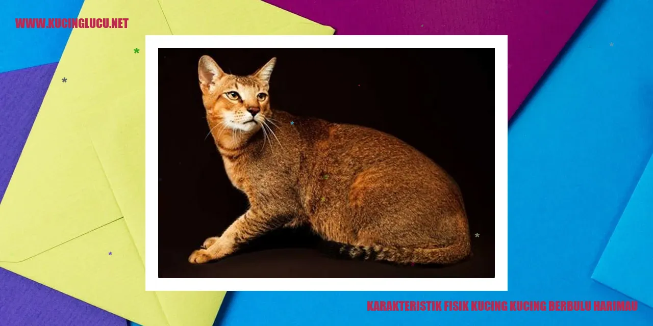Kucing berbulu harimau