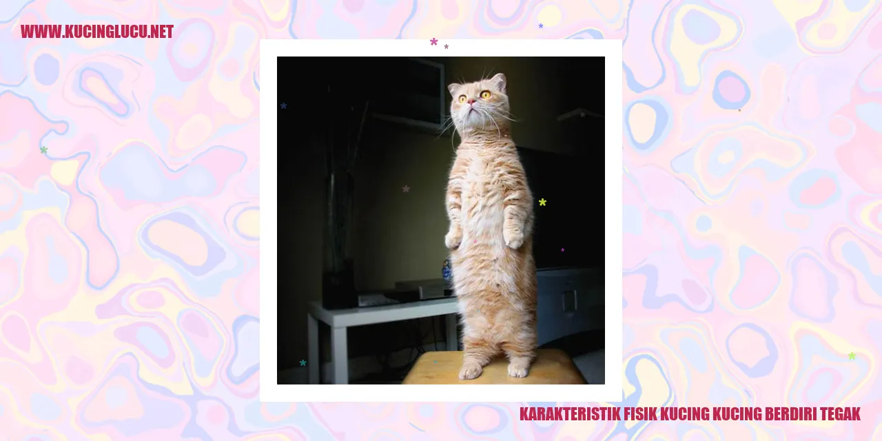 Kucing Berdiri Tegak