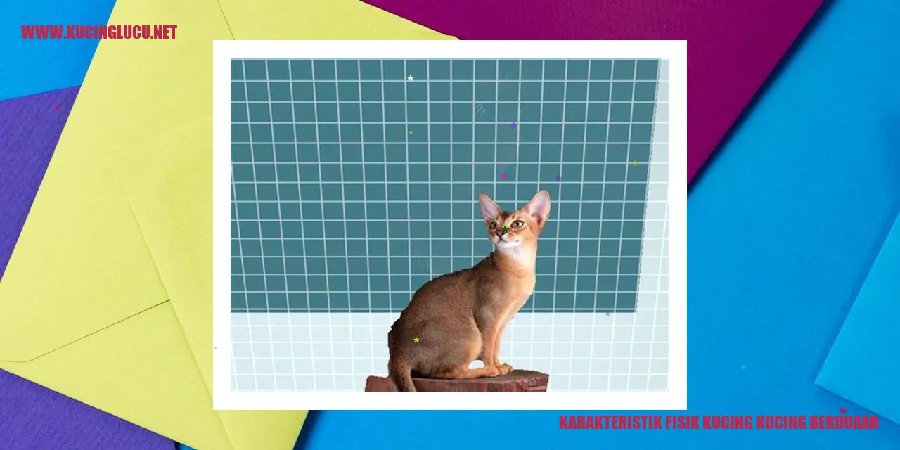 Karakteristik Fisik Kucing Berduaan