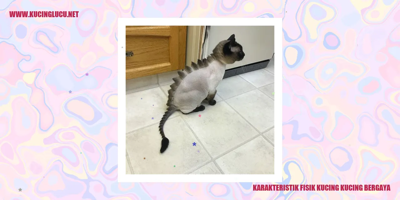Karakteristik Fisik Kucing Bergaya
