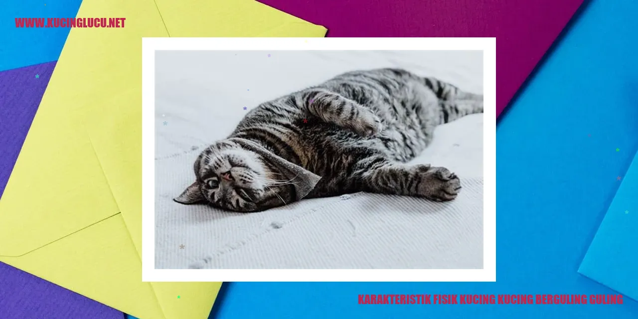 Karakteristik Fisik Kucing kucing berguling guling