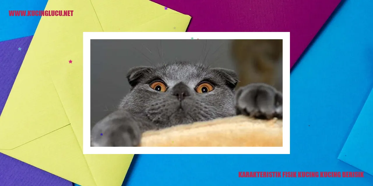 Karakteristik Fisik Kucing