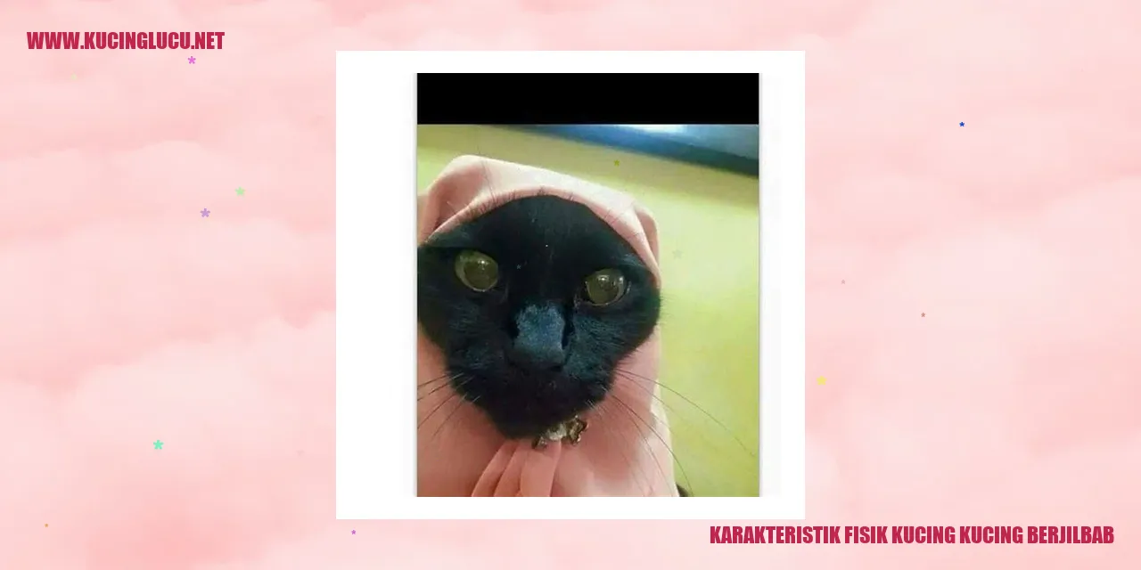 Karakteristik Fisik Kucing Berjilbab