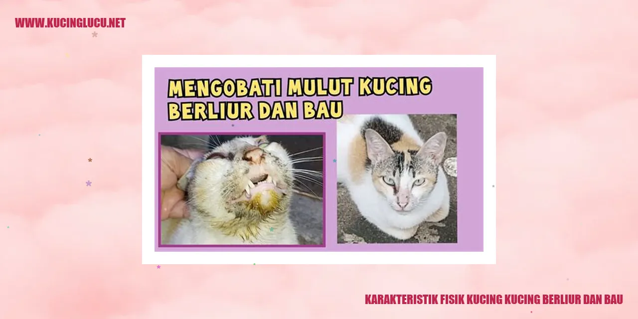 Kucing berliur dan bau