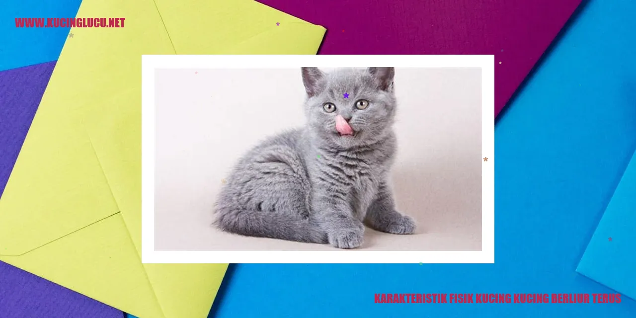 Gambar Kucing