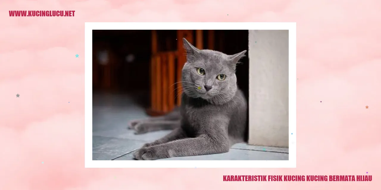 Karakteristik Fisik Kucing dengan Mata Hijau