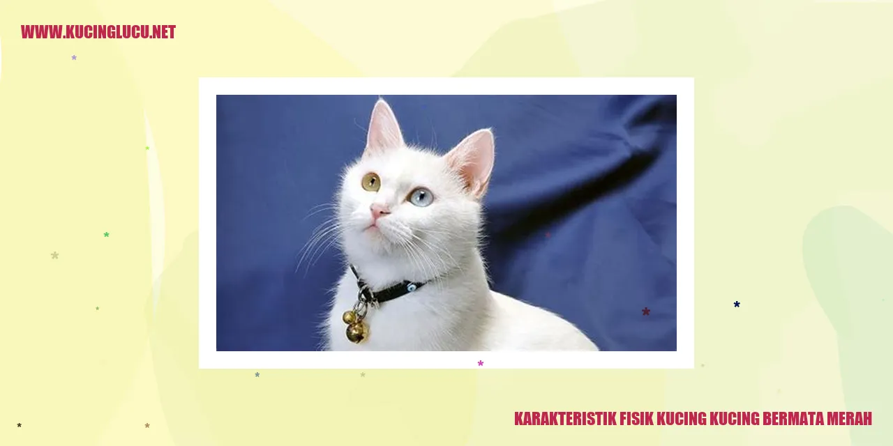 Kucing Bermata Merah
