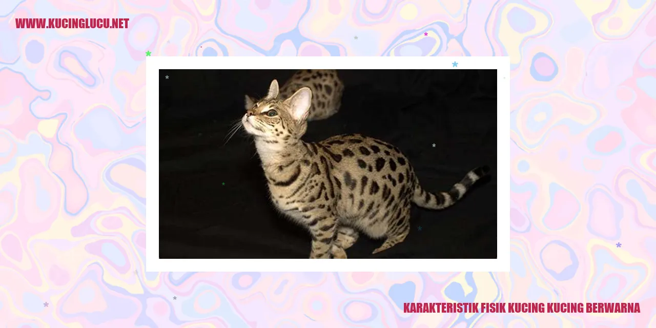 Kekhasan Fisik Kucing Berwarna