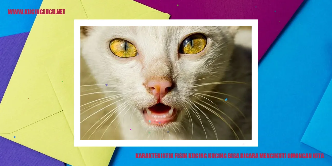 Karakteristik Fisik Kucing