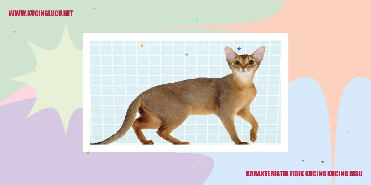 Karakteristik Fisik Kucing Kucing Bisu