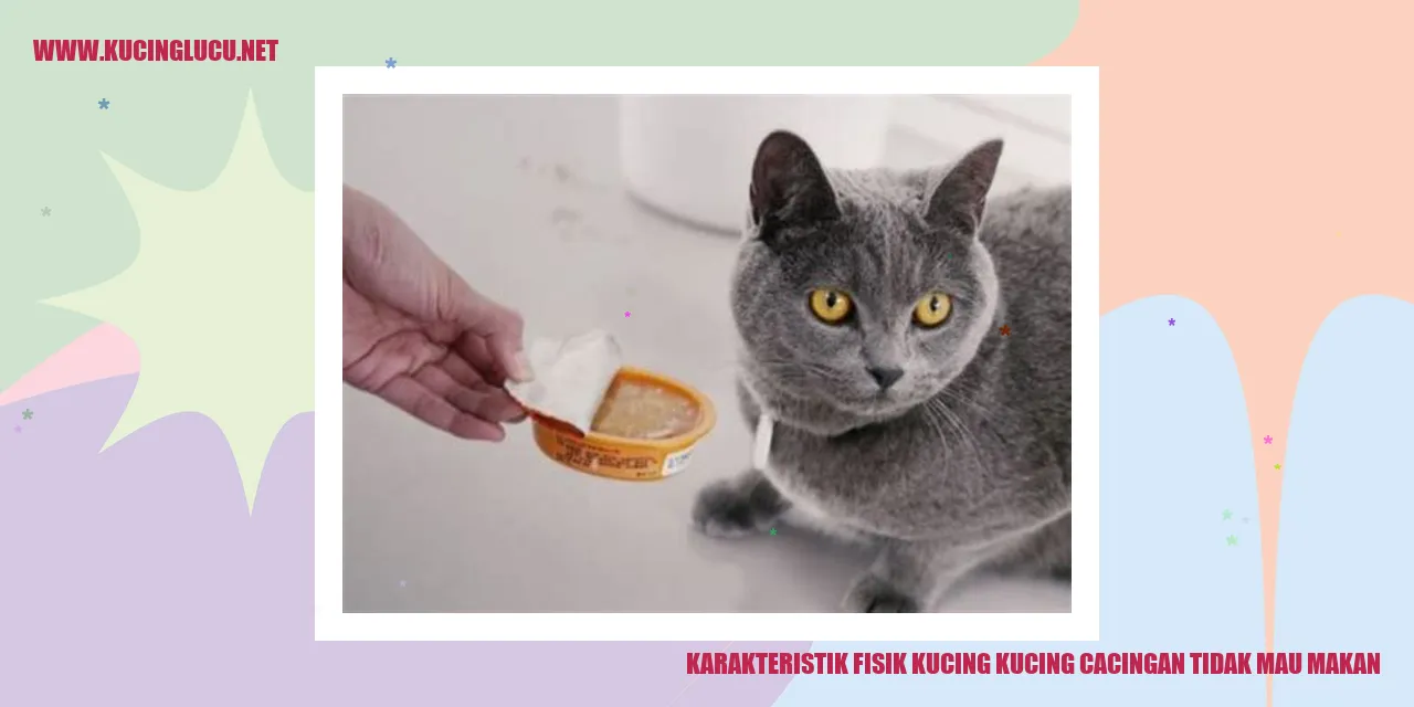 Karakteristik Fisik Kucing cacingan