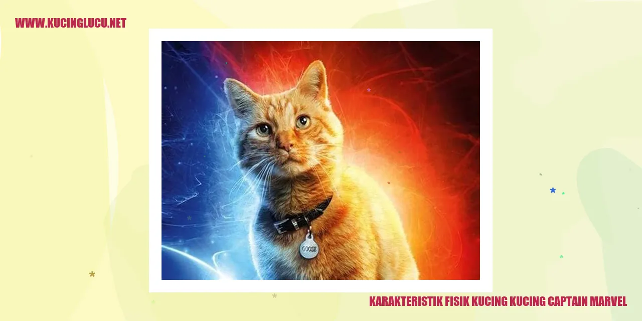 Gambar Kucing Captain Marvel