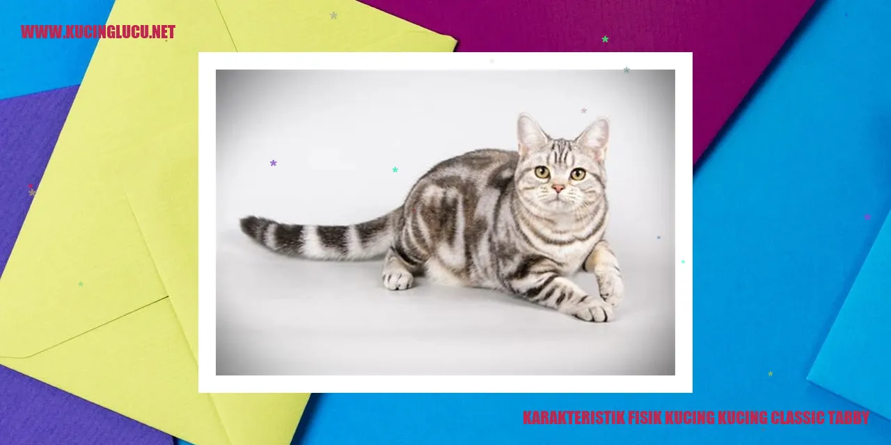 Gambar Kucing Classic Tabby