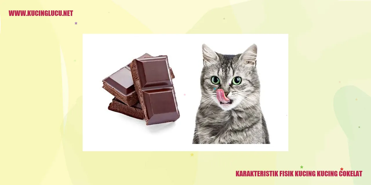 Kucing Cokelat