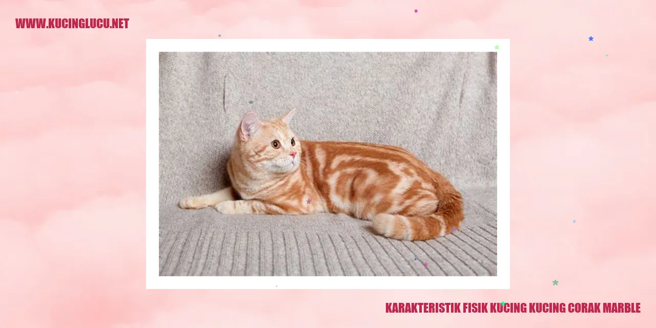 Kucing dengan Corak Marble