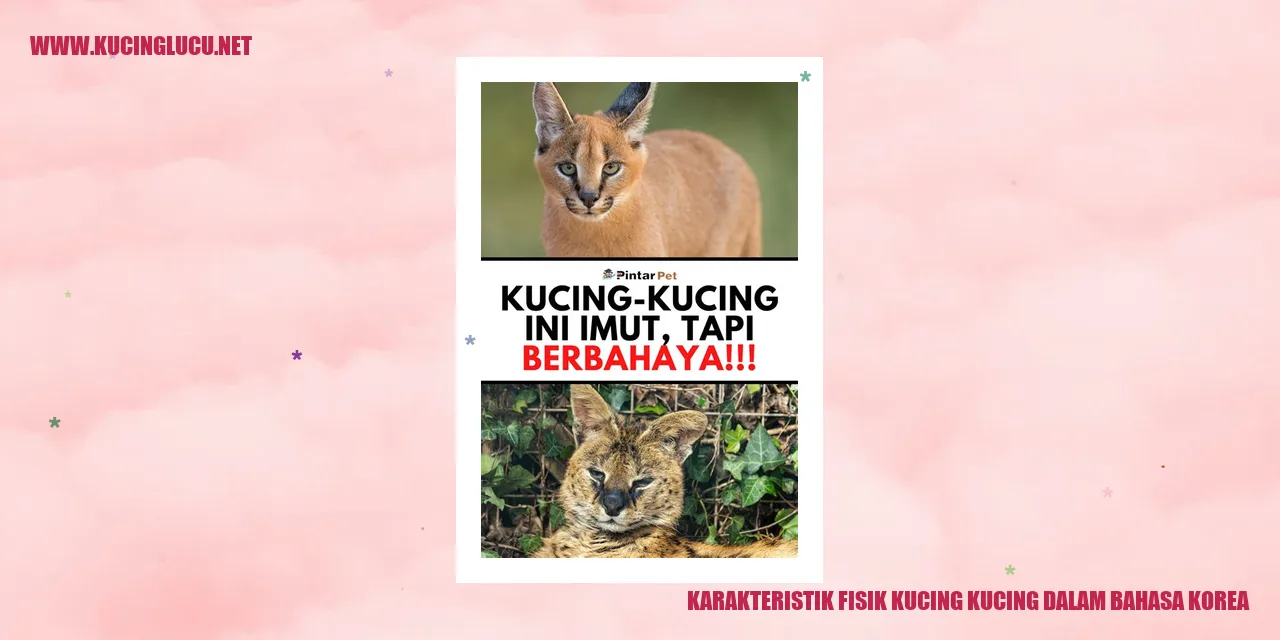 Karakteristik Fisik Kucing dalam Bahasa Korea