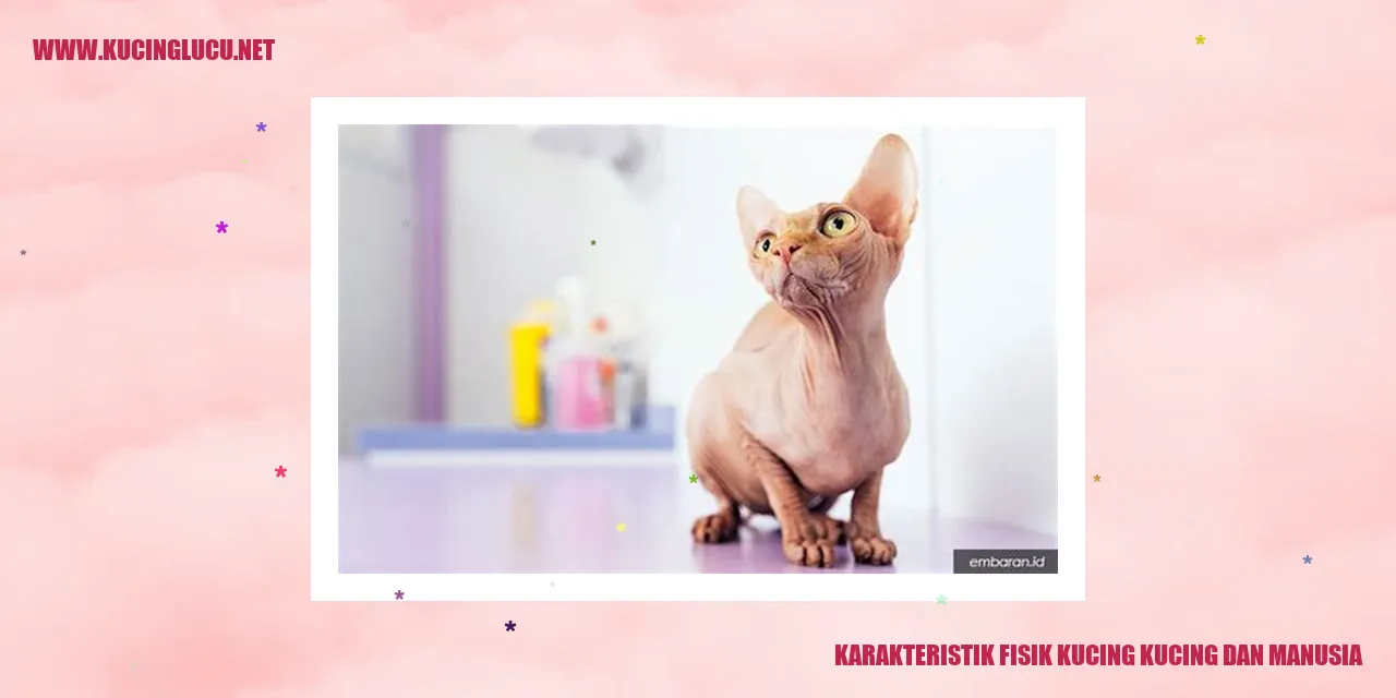 Karakteristik Fisik Kucing dan Manusia