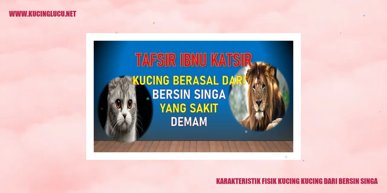 Karakteristik Fisik Kucing kucing dari bersin singa