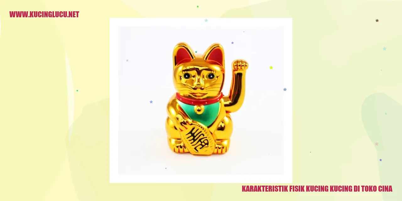 Kucing di Toko Cina