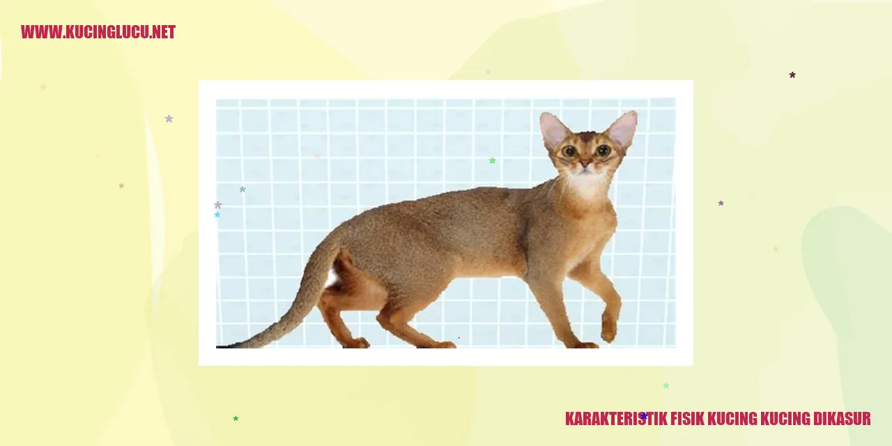 Karakteristik Fisik Kucing