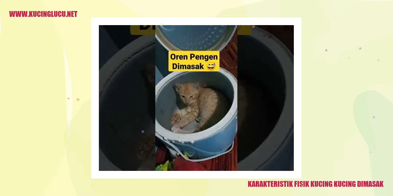 Gambar Kucing