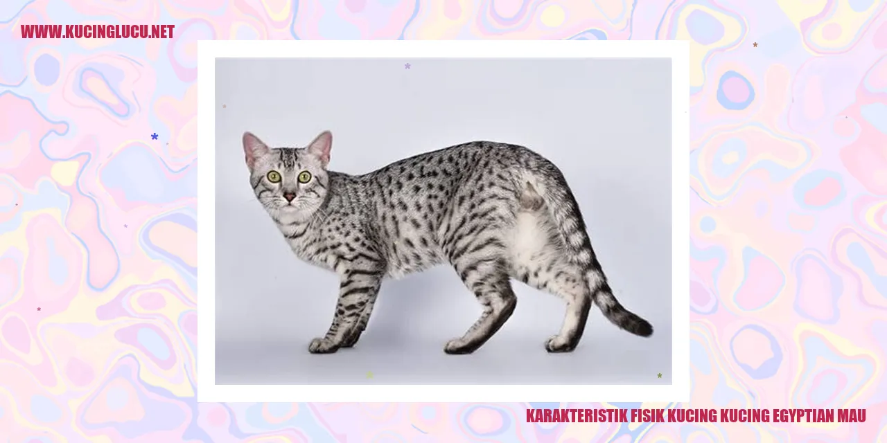 Kucing Egyptian Mau
