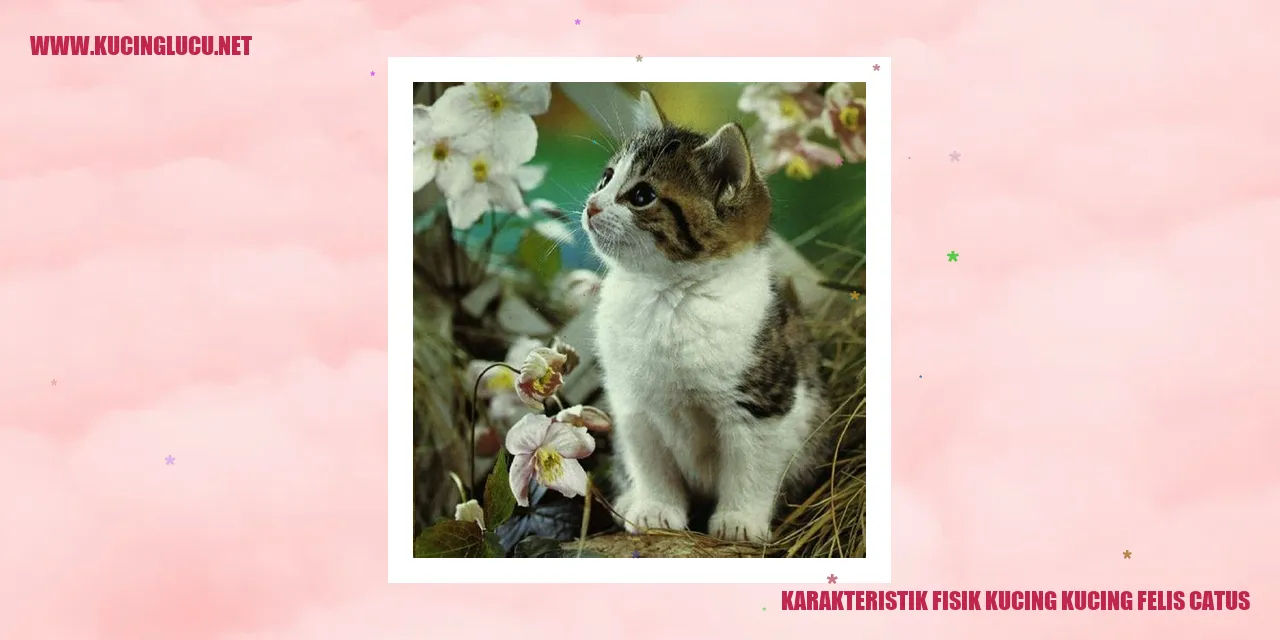 Karakteristik Fisik Kucing kucing felis catus