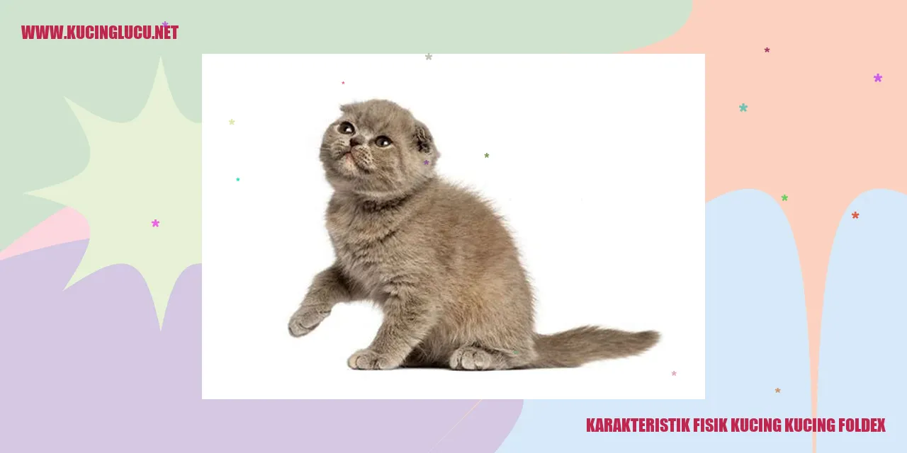 Kucing Foldex dengan Keunikan Fisiknya
