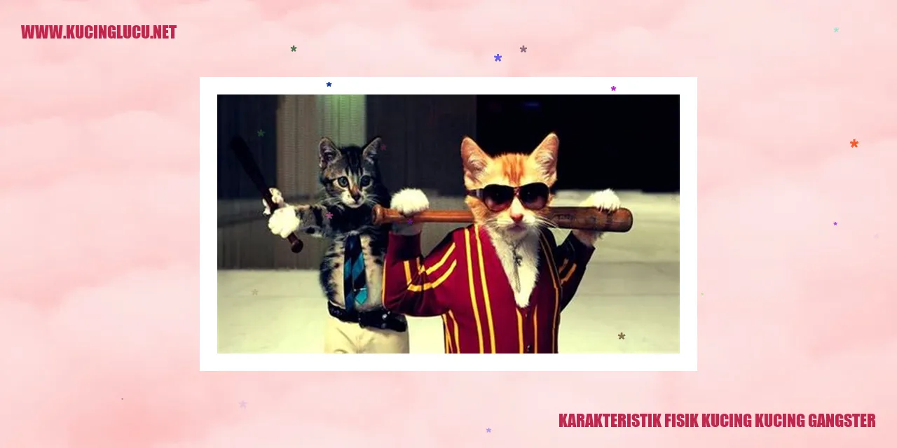 Gambar Kucing Gangster