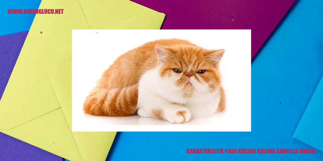Karakteristik Fisik Kucing Garfield Harga