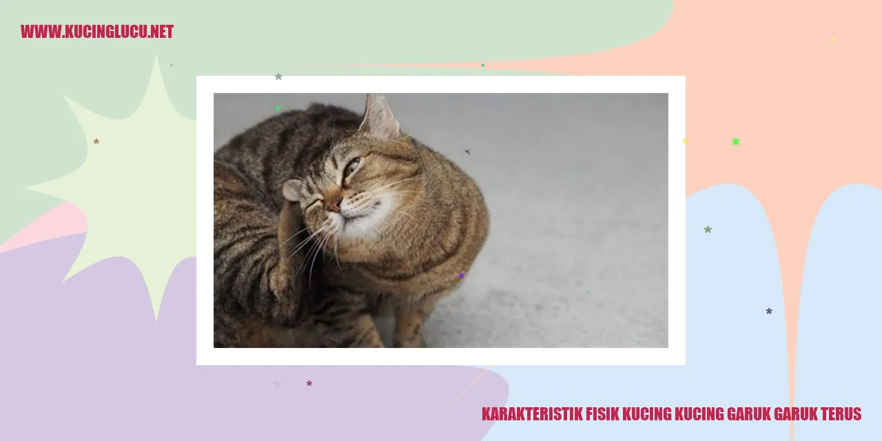 gambar kucing yang menggemaskan