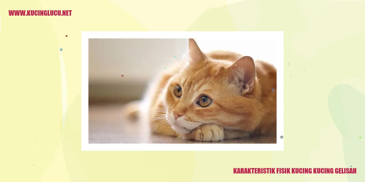 Kucing Cemas