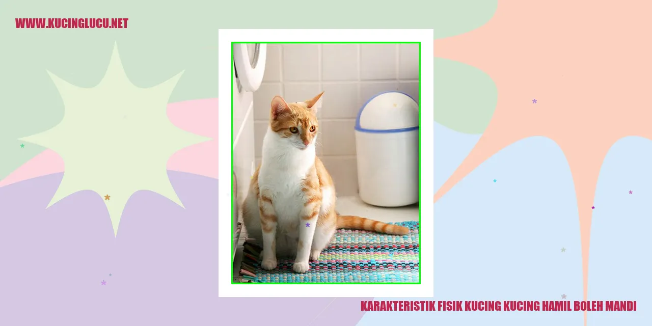 Karakteristik Fisik Kucing