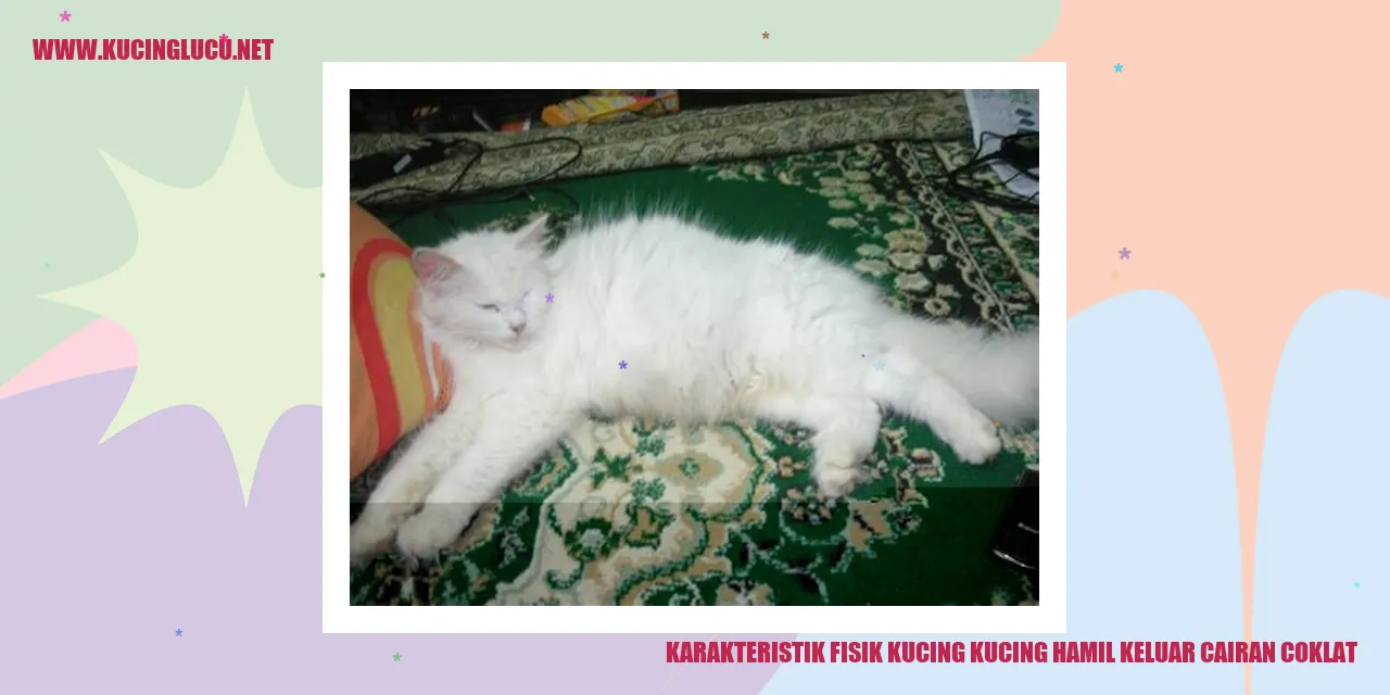 Kucing hamil keluar cairan coklat
