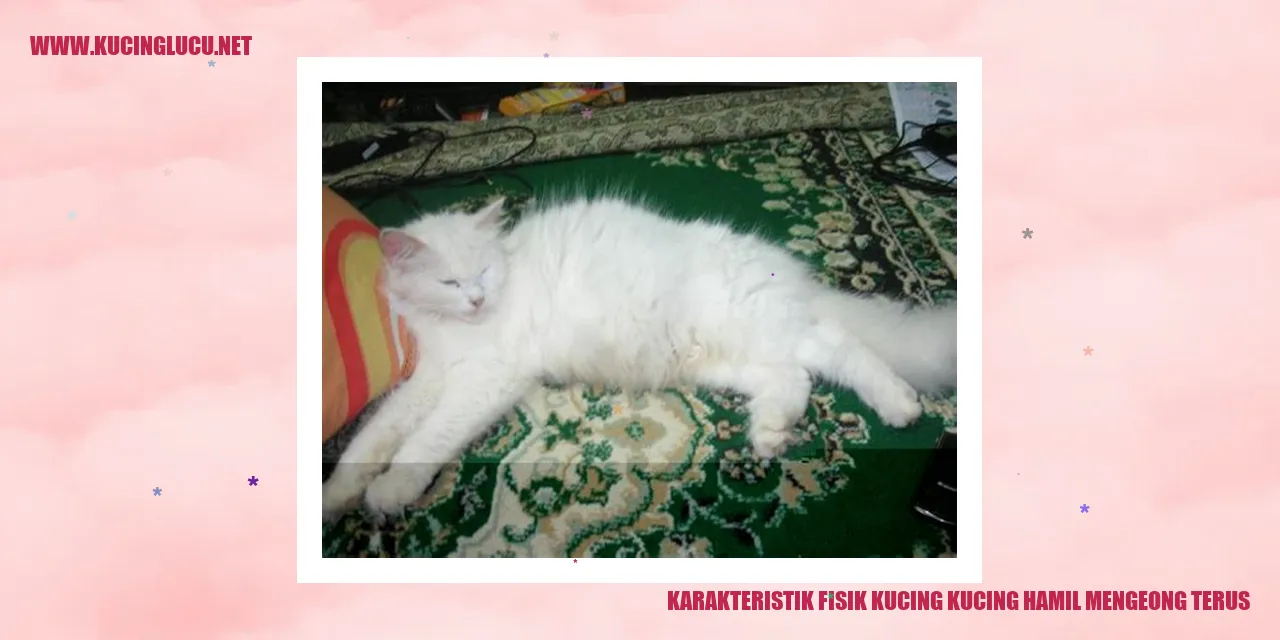 Karakteristik Fisik Kucing