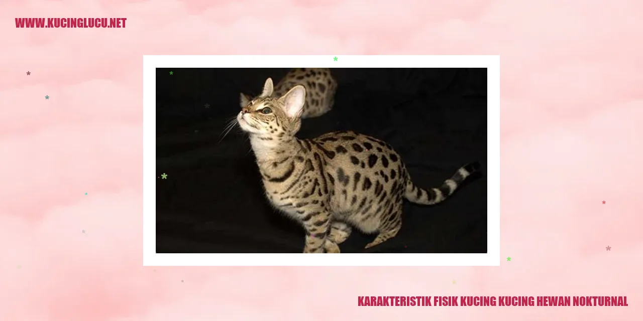 Karakteristik Fisik Kucing kucing hewan nokturnal